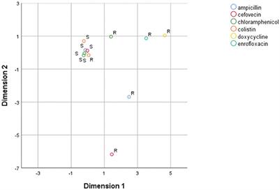 Phenotypic and Genotypic Antimicrobial Resistance in Non-O157 Shiga Toxin-Producing Escherichia coli Isolated From Cattle and Swine in Chile